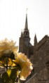 /album/saint-michel-et-son-mont-/fleur-pour-michel-jpg/